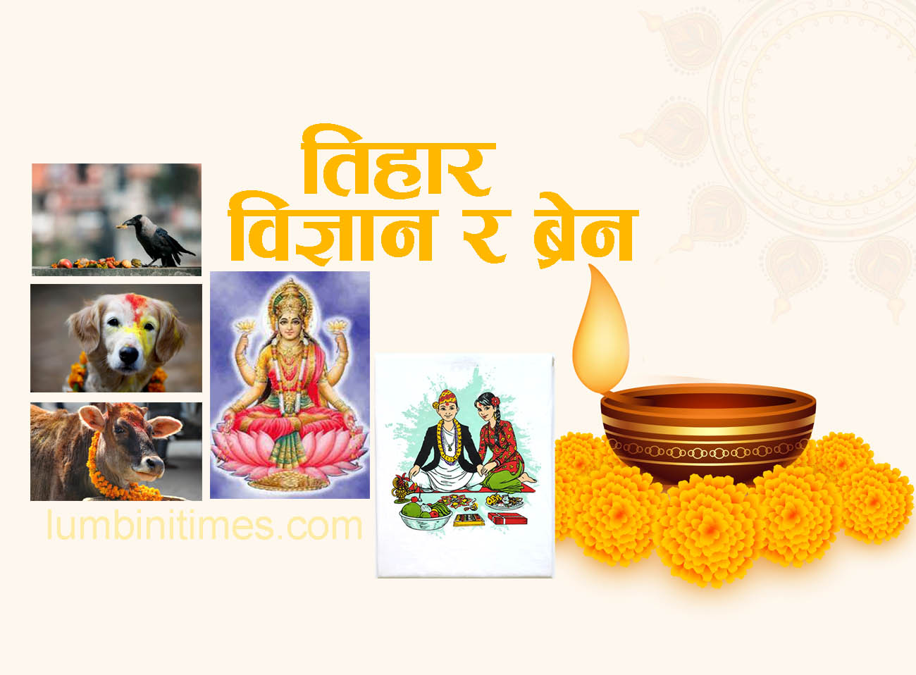 तिहार, विज्ञान र ब्रेन